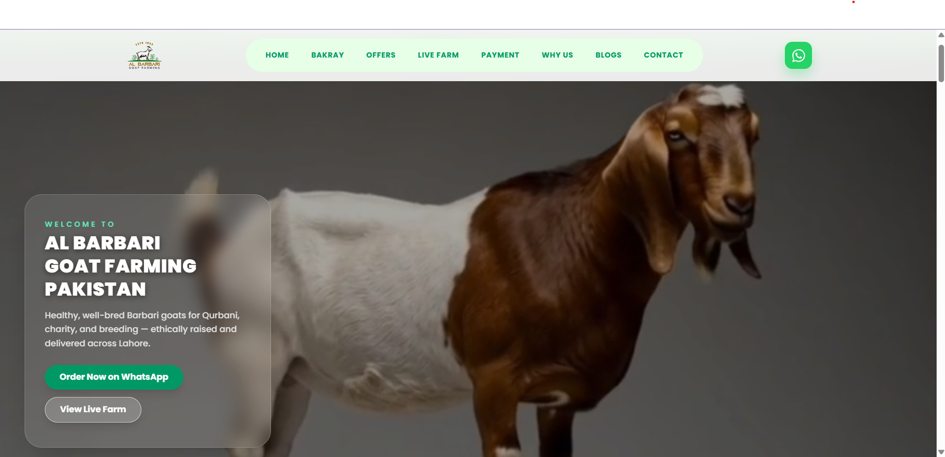 Albarbari Next.js website interface